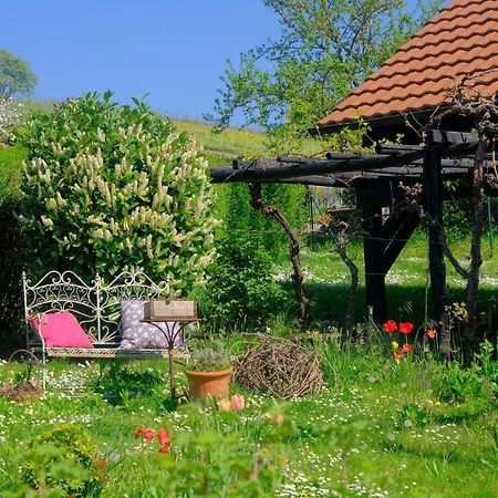 Ferienweingut Wissing Wohnung Theo Gleiszellen-Gleishorbach Exterior foto