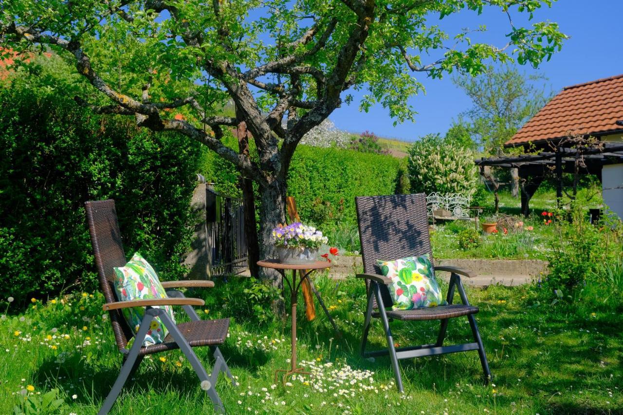 Ferienweingut Wissing Wohnung Theo Gleiszellen-Gleishorbach Exterior foto
