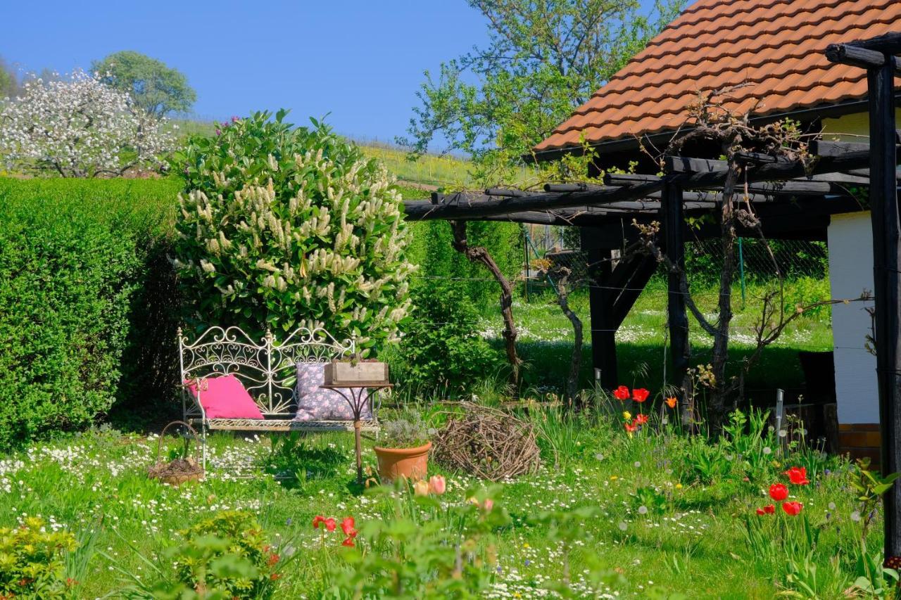 Ferienweingut Wissing Wohnung Theo Gleiszellen-Gleishorbach Exterior foto